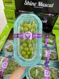  Nho Sữa Rongyue Shine Muscat Premium 