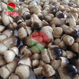  Canned Broken Straw Mushroom 