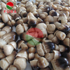  Canned Broken Straw Mushroom 
