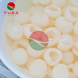  Canned Lychees in Syrup 