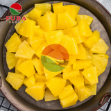  Canned Pineapple Chunks/Tidbits 