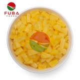  Canned Pineapple Chunks/Tidbits 