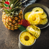  Canned Pineapple Slices 