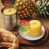  Canned Pineapple Slices 