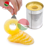  Canned Pineapple Slices 