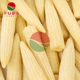  Frozen Baby Corn 