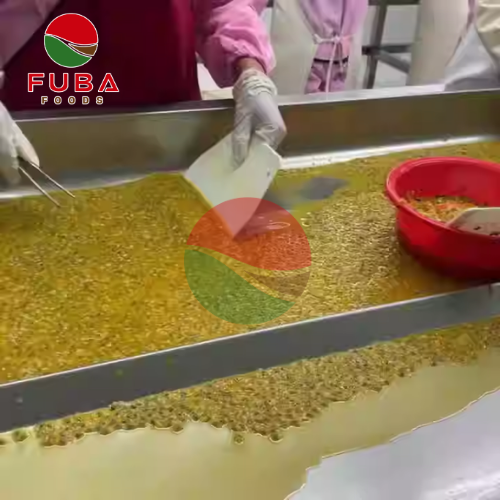  Frozen Passion Fruit Pulp with seed 