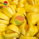  IQF Jackfruit Bulbs 