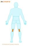  Băng Hỗ Trợ Đầu Gối Pro-Tec Knee Patellar Tendon Strap 