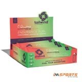  Bột Năng Lượng Tailwind Endurance Fuel 2 Servings - Dauwaltermelon 