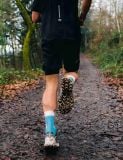  Tất Chạy Trail Compresspot Pro Racing Socks v4.0 Trail - NORSE BLUE/NEON GREEN 