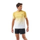  Áo Chạy Bộ Nam Compressport Performance SS Tshirt M - Ceylon Yellow/Grey Dawn 