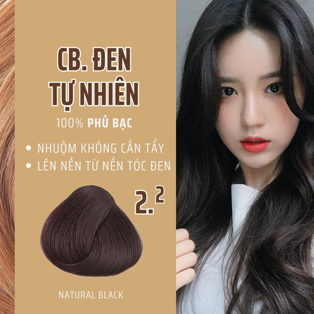 Thuốc nhuộm tóc phủ bạc 16 Power 60ml AZ008 - Nâu socola, hạt dẻ, tây với tinh chất olive