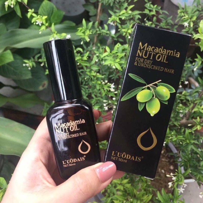 Tinh Dầu Dưỡng Tóc Macadamia - Phục Hồi Tóc Uốn, Khô Xơ, Nhuộm
