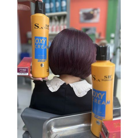Thuốc nhuộm tóc SA SB cân bằng phủ bạc 100ml - Combo 10 tuýp màu thời trang