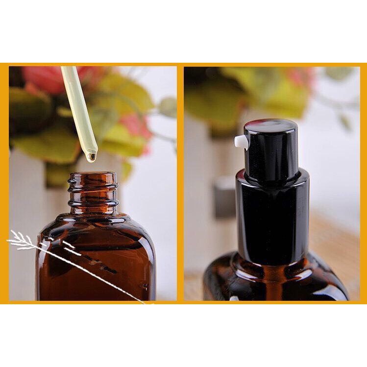 Tinh Dầu Dưỡng Tóc Macadamia - Phục Hồi Tóc Uốn, Khô Xơ, Nhuộm