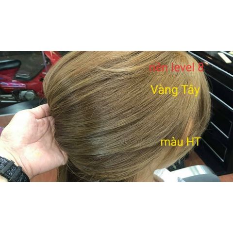 Thuốc nhuộm tóc cân bằng phủ bạc thông minh VGO tuýp 100ml AZ008