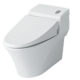  Bàn Cầu Một Khối AC-1008VRN Aqua Ceramic 
