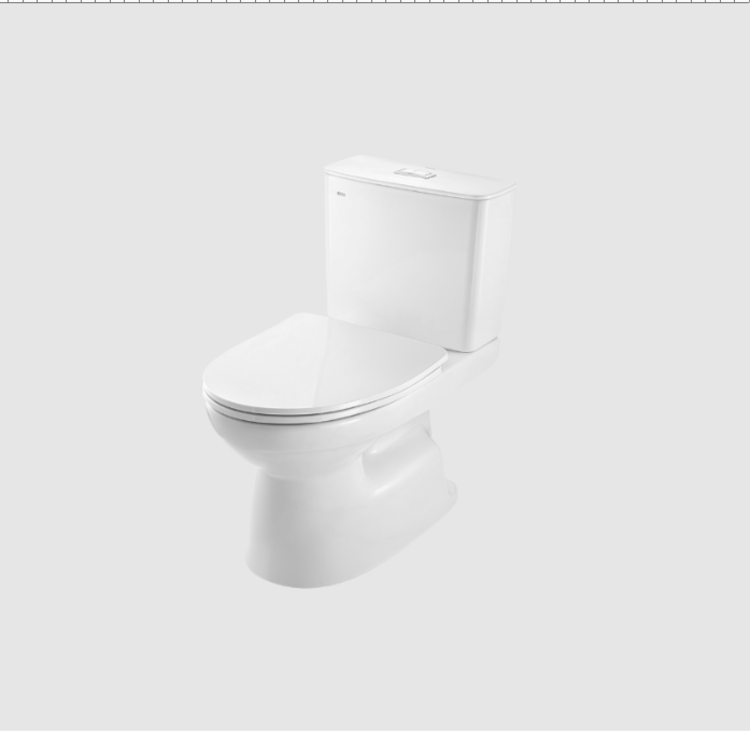  Bàn cầu hai khối AC-514VWN 