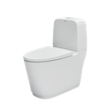  Bàn cầu hai khối AC-832VN 