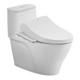  Bàn Cầu Một Khối Kèm Nắp Rửa Điện Tử AC-989+CW-H17VN 