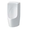  Bồn Tiểu Nam  Treo Tường AquaCeramic AU-431VR 