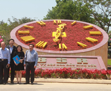  Đồng hồ hoa cty Lọc Dầu Bình Sơn 
