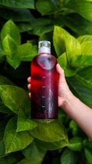 Bình Ủ Lạnh Trà, Cold Brew Tea Thủy Tinh Borosilicate Có Vạch Thời Gian