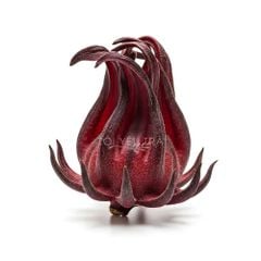 Trà Atiso Đỏ (Hibiscus Roselle) Nguyên Bông Sấy Khô Cao Cấp, Giảm Cholesterol, Detox