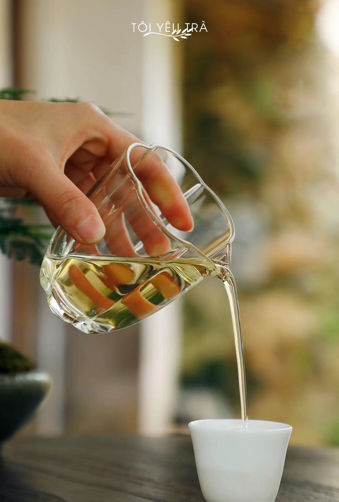 Chén tống trà hoa mai thủy tinh cao cấp dung tích 250ml