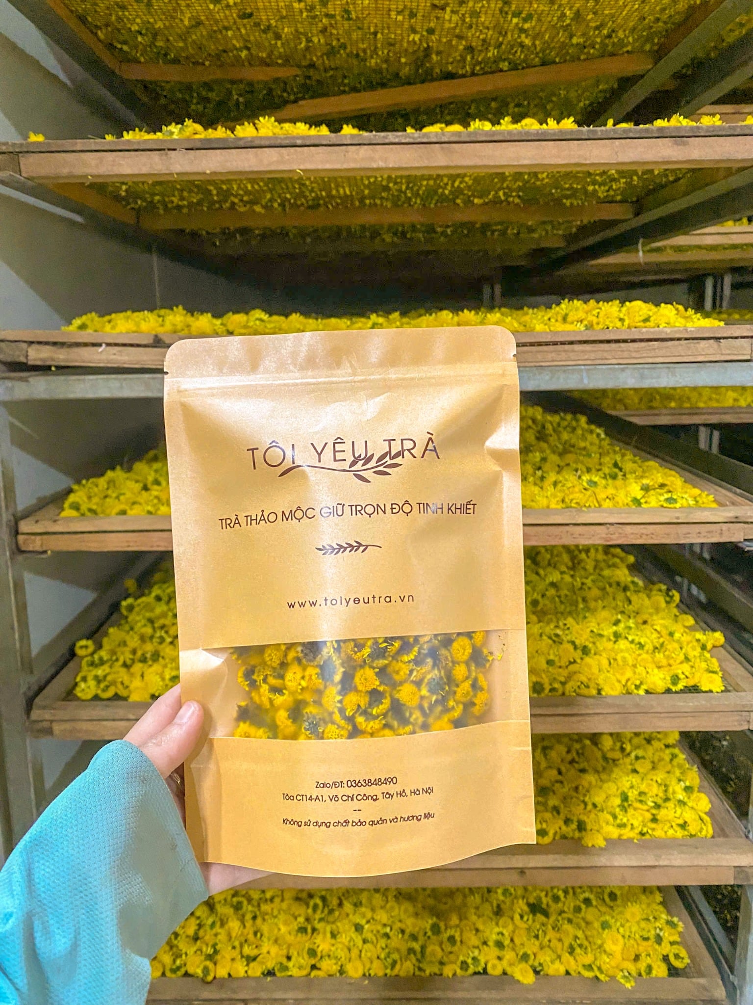 [500 Gram] Trà Hoa Cúc Chi Hưng Yên Sấy Lạnh Túi 500g - An Thần, Đẹp Da, Thanh Nhiệt Chính Hiệu