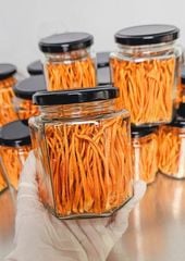 Đông Trùng Hạ Thảo Sấy Thăng Hoa Dòng Premium - Xếp Thẳng Từng Sợi