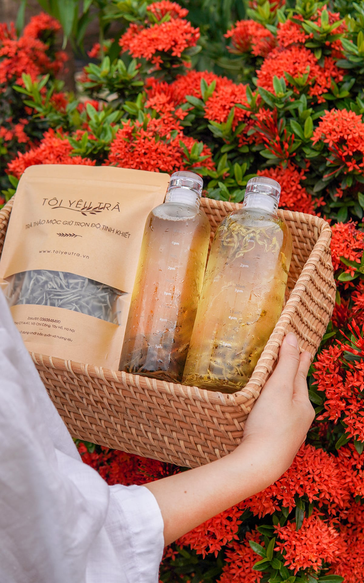 Bình Ủ Lạnh Trà, Cold Brew Tea Thủy Tinh Borosilicate Có Vạch Thời Gian