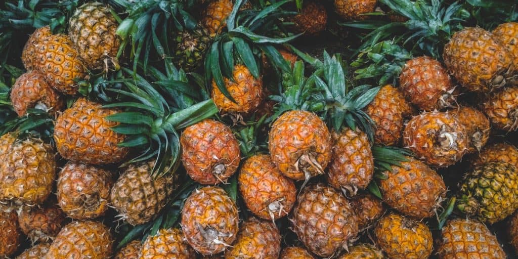 Dứa Sấy Thái Lát - Bromelain Tự Nhiên, Không Đường, Không Chất Bảo Quản