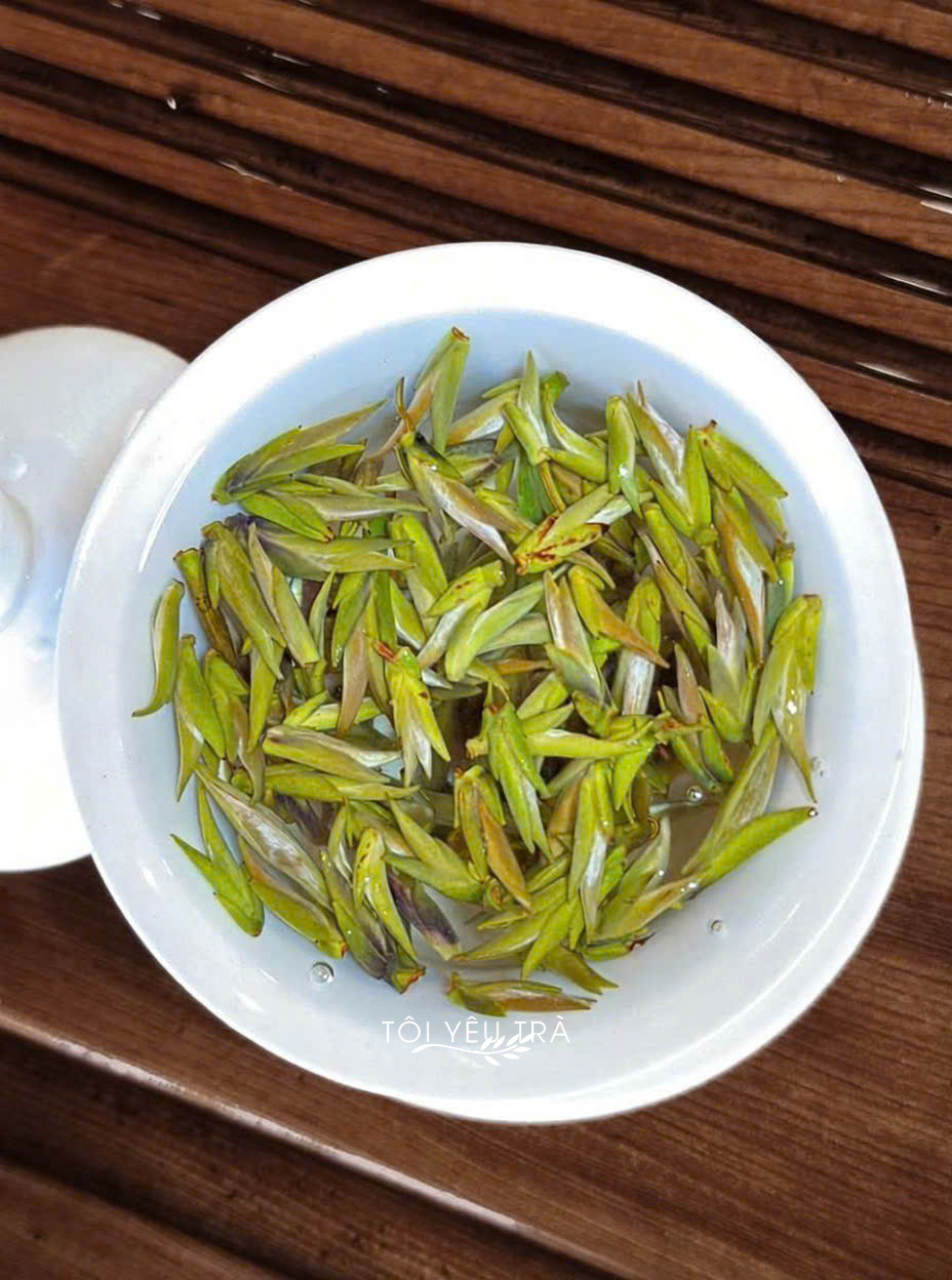 Bạch Trà Tiên Tây Côn Lĩnh - Trà Hoang Dã