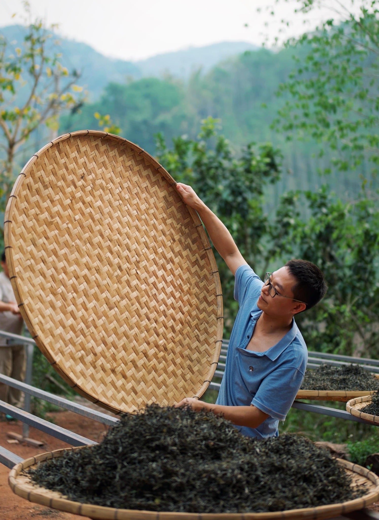Trà phổ nhĩ Việt Tây Côn Lĩnh (Trà rời)