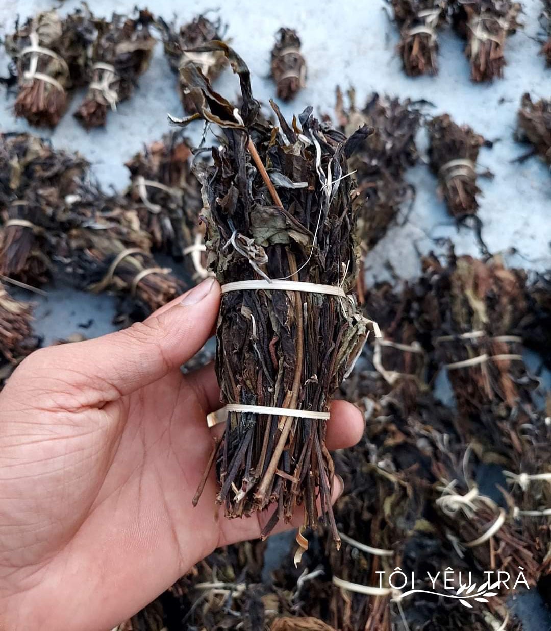 Trà Chít Shan Tuyết Cổ Thụ Hà Giang Dòng Trà Đặc Sản Của Người Dao