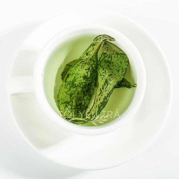 Cỏ Ngọt Stevia, món quà quý giá từ thiên nhiên