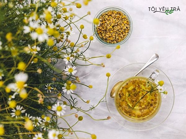 Trà hoa Cúc la mã chamomile
