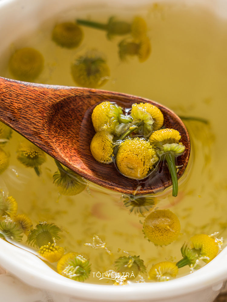 Trà Hoa Cúc La Mã Chamomile Giúp An Thần, Giảm Lo Âu, Ngủ Ngon