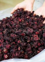 [500 Gram] Trà Atiso Đỏ (Hibiscus Roselle) Nguyên Bông Sấy Khô Cao Cấp