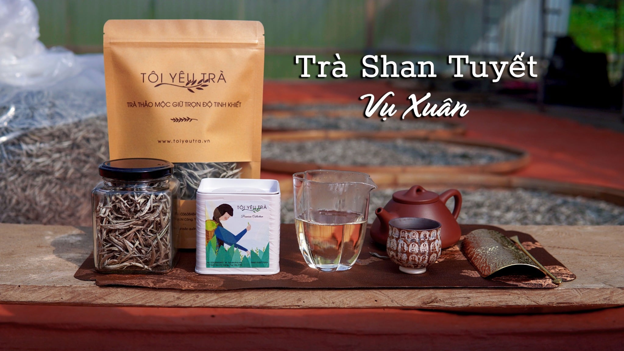 Trà Trắng Shan Tuyết Thượng Phẩm 1 Tôm - Bạch trà Shan tuyết Cổ Thụ Tây Côn Lĩnh