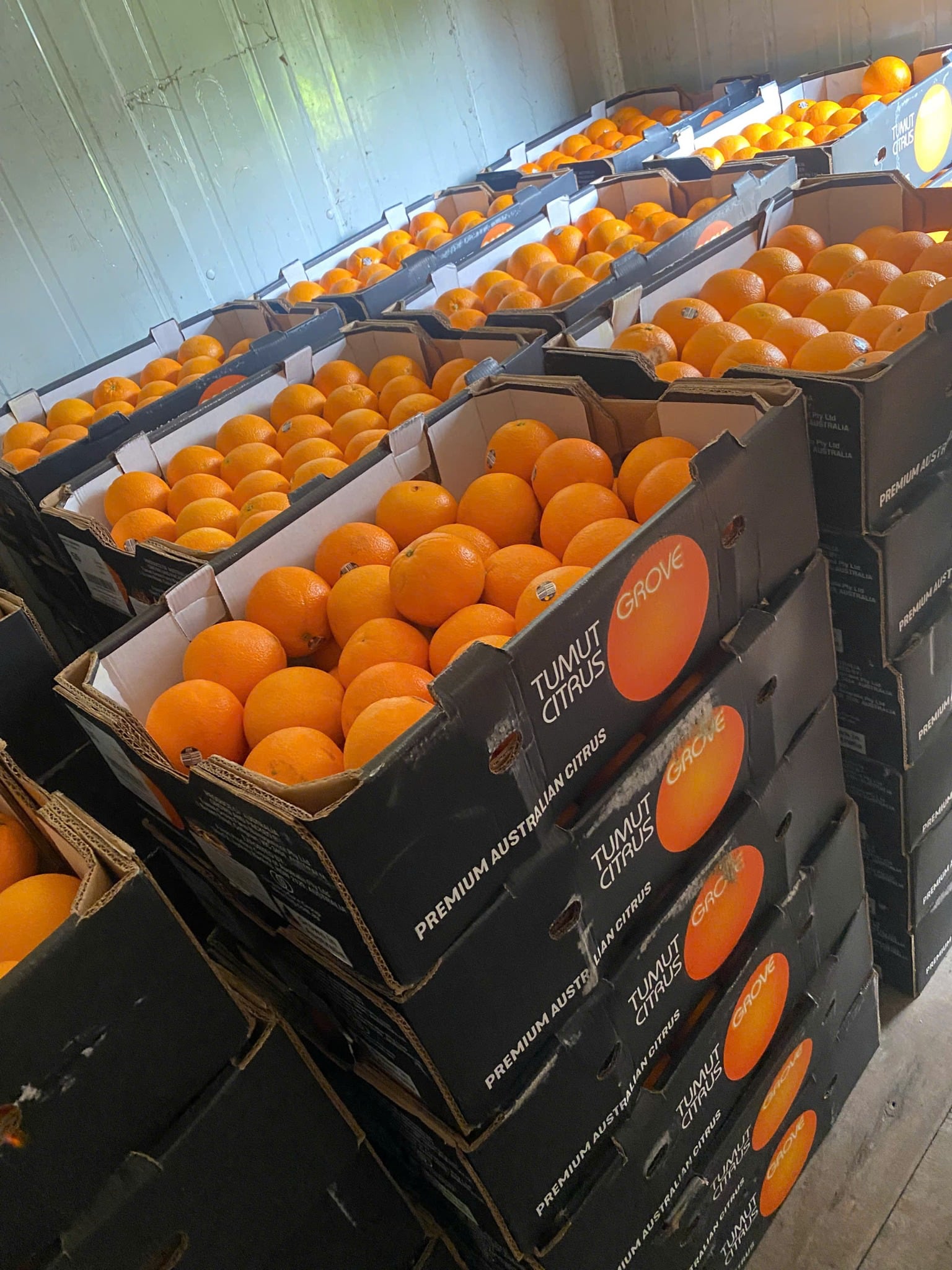 Cam Vàng Sấy Khô Thơm Ngọt Tự Nhiên - Giàu Vitamin C, Tăng Đề Kháng