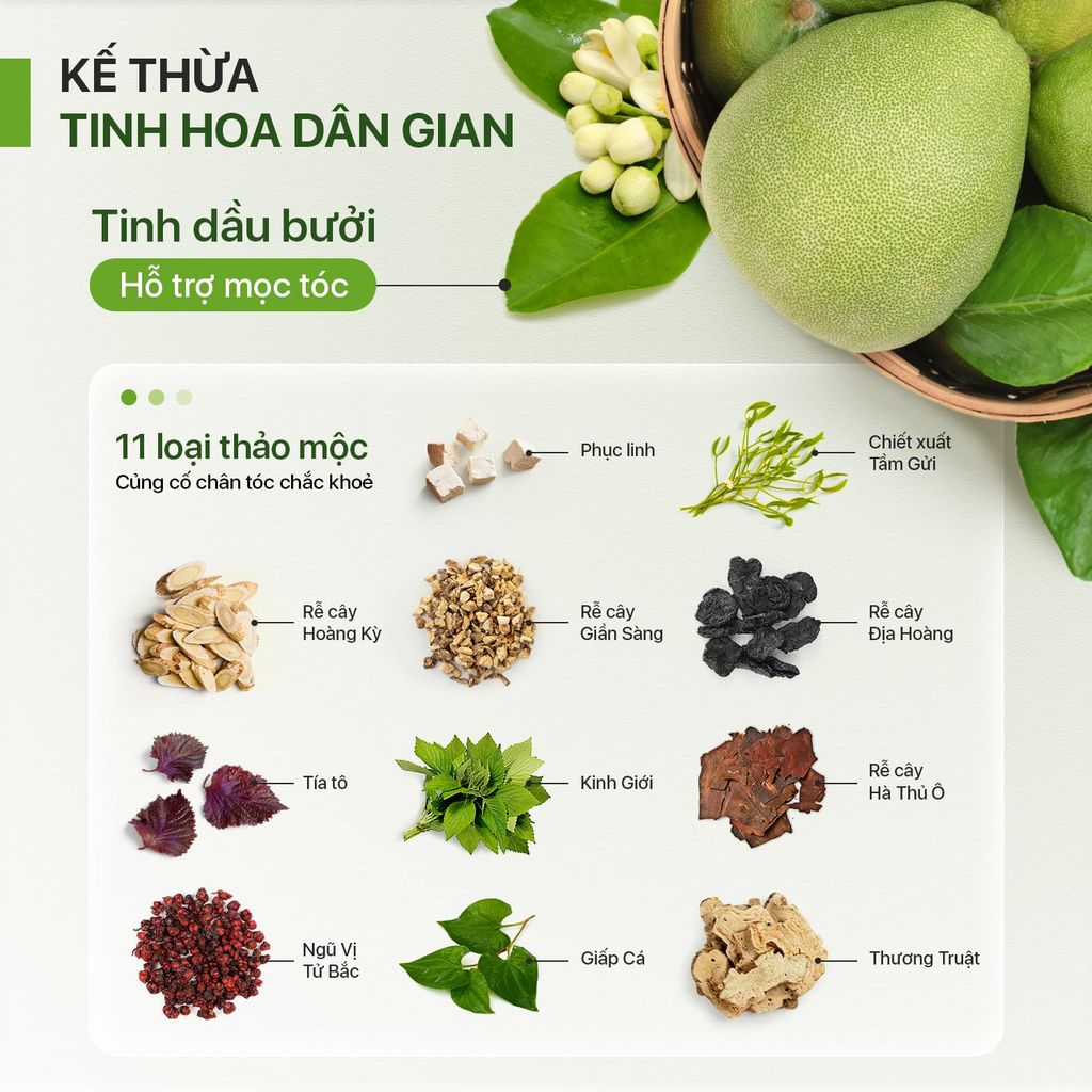 Bộ Đôi (Gội + Xả) Giảm Rụng Hỗ trợ Mọc Tóc Gồm Dầu Gội Hoa Bưởi (250ml) & Dầu Xả Hoa Bưởi Neo Nature (250ml)