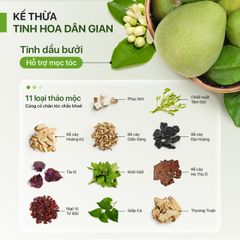 Dầu Xả Hoa Bưởi Neo Nature – Giảm Rụng & Hỗ Trợ Mọc Tóc (250ml)