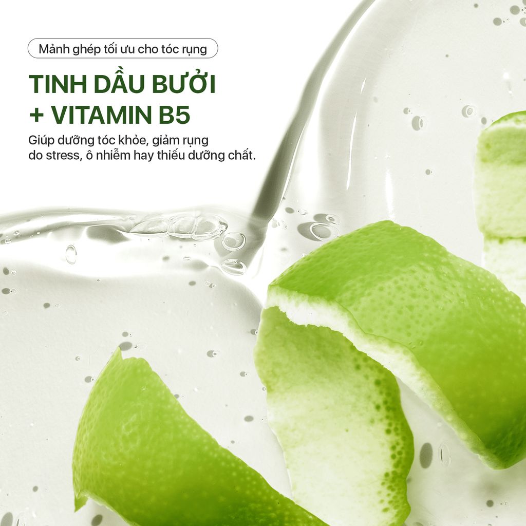 Dầu Gội Hoa Bưởi Neo Nature – Giảm Rụng & Hỗ Trợ Mọc Tóc (250ml)