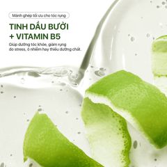 Dầu Gội Hoa Bưởi Neo Nature – Giảm Rụng & Hỗ Trợ Mọc Tóc (250ml)