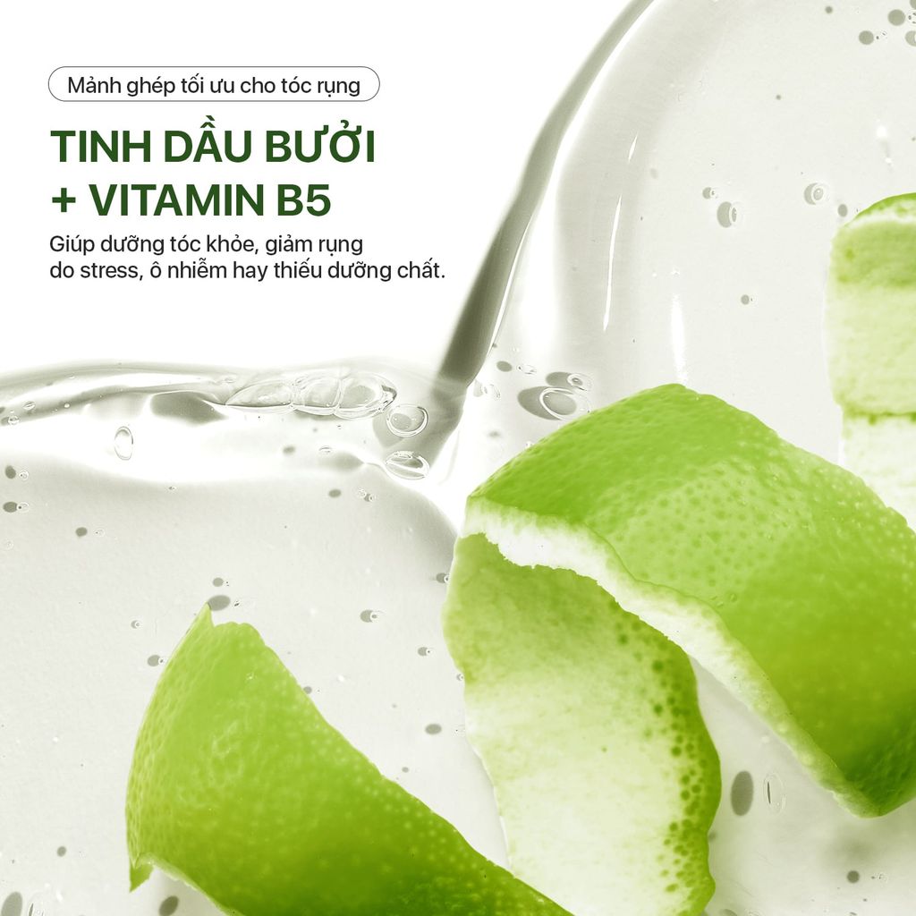Bộ Đôi (Gội + Xả) Giảm Rụng Hỗ trợ Mọc Tóc Gồm Dầu Gội Hoa Bưởi (250ml) & Dầu Xả Hoa Bưởi Neo Nature (250ml)