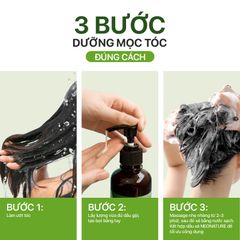 Dầu Gội Hoa Bưởi Neo Nature – Giảm Rụng & Hỗ Trợ Mọc Tóc (250ml)