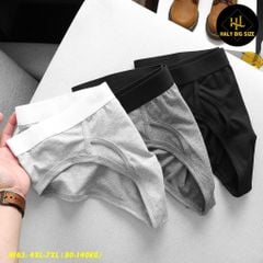 Set 3 quần lót tam giác nam cotton big size H163